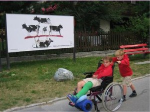 Wheelchair