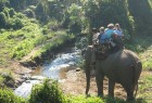 Elephant Ride in Chiang Mai, Thailand