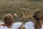 Safari in Tanzania