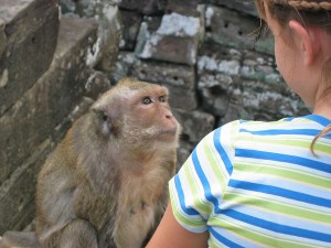 Monkey at Angkor Wat