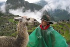 Face to face with a llama, Peru